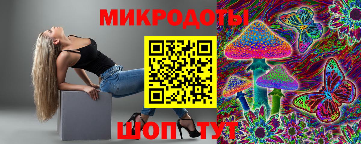Галлюциногенные грибы Psilocybe Урай